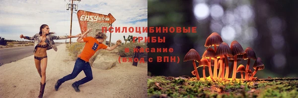 твердый Алексин