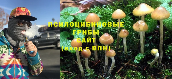 твердый Алексин