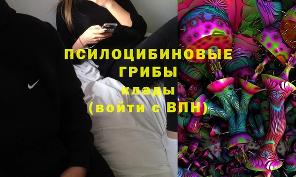 твердый Алексин