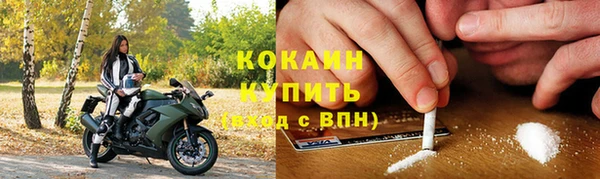 твердый Алексин