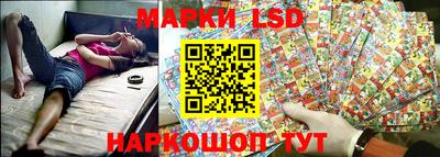 шишки Кимры