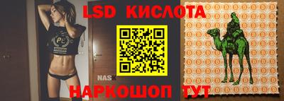 мдма Кингисепп