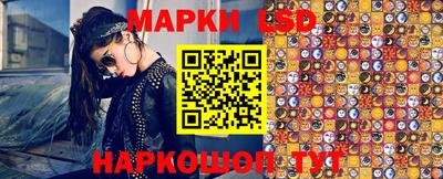 шишки Кимры